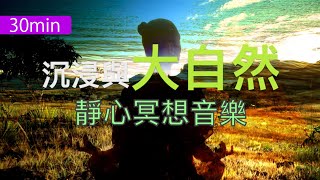 30分鐘沉浸與大自然 靜心冥想音樂 30023 [upl. by Vargas]