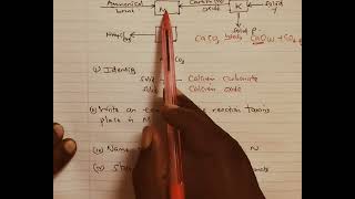 Solvay process Form 2 chemistry Revision [upl. by Barbey]