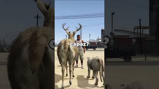 Animales VS Tren de GTA 5 [upl. by Wolenik]