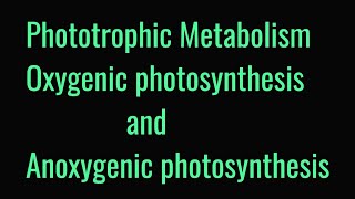 Phototrophic Metabolism  Oxygenic photosynthesis and anoxygenic photosynthesis [upl. by Jehovah]