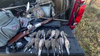 EPIC SOLO DOVE HUNT [upl. by Matti]