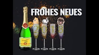 FROHES NEUES JAHR 🍸 Lustiger Silvestergruß ✨ Happy New Year ✨ WhatsApp Video kostenlos 2018 [upl. by Aicak]