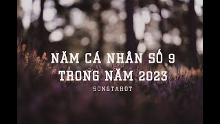 năm cá nhân số 9 trong năm 2023 [upl. by Atsirc]