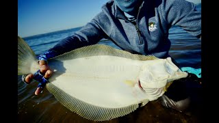 State of the Season  Fluke Fishing From Shore [upl. by Sorips]