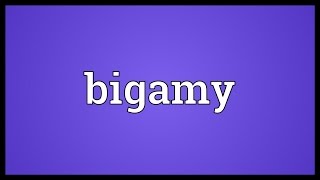 Bigamy Meaning [upl. by Soisanahta]