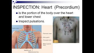 Precordium Inspection for signs of cardiovascular system diseases [upl. by Sirromad]