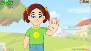 Learn the Parts of the Body  THE HAND  COOL Science for Kids [upl. by Noak]