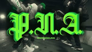 FREEHOWLING  PNA OFFICIAL MUSIC VIDEO [upl. by Awe]