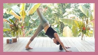 1 Hour Flexibility Yoga  Yoga for Hips and Hamstring Flexibility [upl. by Ardnued]