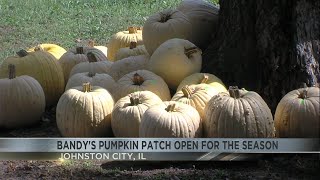 Bandys Pumpkin Patch Ready for the Season [upl. by Atenahs]