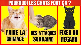 Signification de 7 comportements de chat expliqués [upl. by Thelma205]