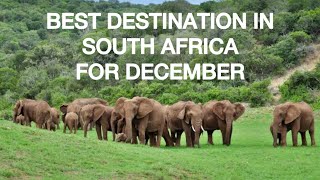 Best South African Destinations for family or girlfriend this December 2024 [upl. by Anissej]