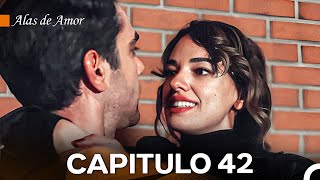 Alas de Amor Capitulo 42 Doblado En Español [upl. by Anuayek883]