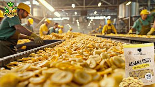 Banana Chips Mega Factory Processing Millions of Bananas with Modern Technology [upl. by Divadnahtanoj]