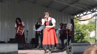 Cantigas na Eira  Vareira linda vareira Festas 2015 Musica popular [upl. by Alatea]