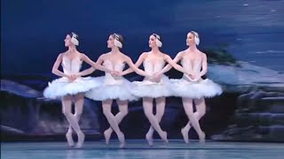 Swan Lake  Tchaikovsky 480p [upl. by Elegna]