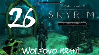 Skyrim Special Edition  26díl  Černota  CZ Lets Play [upl. by Ivonne]