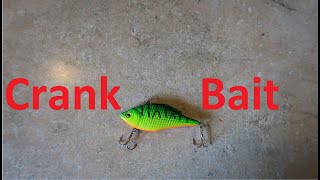 Crankbaits Kaibab Lake Interactive Series [upl. by Dosia]