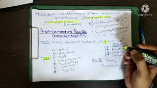 PENICILLIN ANTIMICROBIALS PHARMACOLOGY  FA  USMLE STEP1 [upl. by Ann]