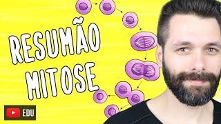 RESUMO sobre MITOSE  Biologia com Samuel Cunha [upl. by Verger]