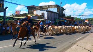 Cattle Drive Rodeo Masbateño Festival 2024 [upl. by Korrie]