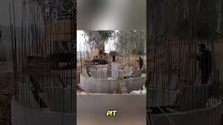 Workers Cheer During Well Construction as Concrete Sinksshortsfeed shortsviral shortsyoutube [upl. by Kaia]