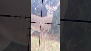 Scope cam vs 9pt buck deerhunting bigbuck hunting scopemount shorts last year hunt [upl. by Esilegna]