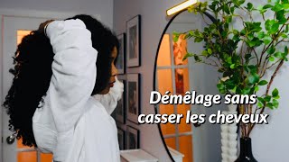 COMMENT BIEN DÉMÊLER LES CHEVEUX ZÉRO CASSE [upl. by Albie]