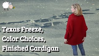 TX Freeze Choosing Colors CARDIGAN [upl. by Benton753]