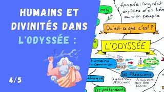 PERSONNAGES et DIVINITÉS de LODYSSÉE  Ulysse Pénélope Zeus Athéna Alkinoos Nausicaa 45 [upl. by Dru252]