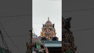 Vadapalani Murugan temple [upl. by Jyoti]