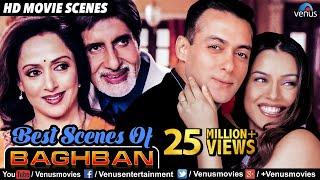 Best Scenes Of Baghban  Hindi Movies  Best Bollywood Movie Scenes  Amitabh Bachchan Movies [upl. by Khai]