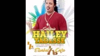 haylie tadesse  salasqeyimat [upl. by Nelyt909]