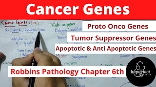 Cancer genesproto oncogenes Tumour suppressor gene Apoptotic and Anti Apoptotic genes pathology [upl. by Avitzur]