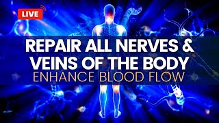 Repair All Nerves and Veins Of The Body  Heal Neuropathy  Enhance Blood Flow To Muscles and Organs [upl. by Lenci]