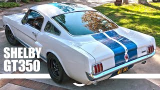 LOUD Shelby GT350 Screaming Through the Canyons [upl. by Dami]