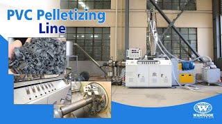 Plastic Pelletizer Machine Soft PVC Granulator Machine Plastic Recycling Granulator Machine [upl. by Shiroma]