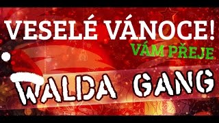 Walda Gang  Vánoční svařák [upl. by Rothstein]