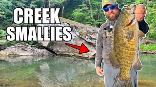 CREEK FISHING for BIG SMALLMOUTH BASS  Ohio River Tributary [upl. by Sigfrid]