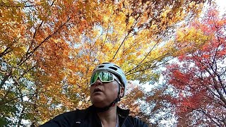 ep10enjoy the mtb인천 호봉산 비타민길 철마산원적산 왕복단풍놀이 insta360 onex2 specialized turbo lebo [upl. by Yokum350]