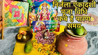 निर्जला एकादशी पूजा विधि  Nirjala Ekadashi Puja Vidhi 2024 [upl. by Hawken280]