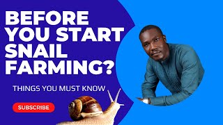 What You Need to Know Before Starting Snail Farming [upl. by Ynneg]