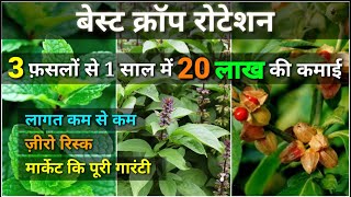 3 फ़सलों से 20 लाख की कमाई । Best Crop Rotation । कम लागत । Zero Risk । मार्केट की गारंटी [upl. by Nolahs]