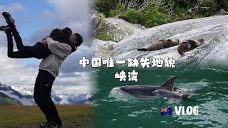 vlog🇳🇿中国唯一缺失地貌峡湾｜皇后镇网红牛排｜海豚｜海狮｜房车｜环岛路线｜蜜月旅行｜ [upl. by Ical]