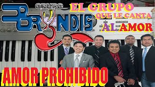 Amor Prohibido  Grupo Bryndis [upl. by Tybi293]