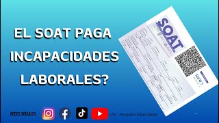 ✅ EL SOAT PAGA INCAPACIDADES  soats incapacidades accidentescamiones indemnizacion [upl. by Sarena197]