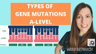 Type of GENE MUTATIONS Alevel Biology Do you know the 6 types of gene mutations [upl. by Nnazil]