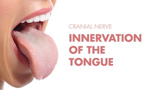 Innervation of the Tongue  Cranial Nerves  MEDZCOOL [upl. by Anavoj556]