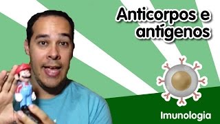 Imunlogia 6  Anticorpos e antígenos [upl. by Anihtyc]