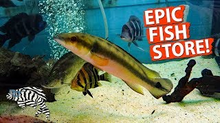 HUGE FISH STORE TOUR Gerbers Tropical Fish 2018 [upl. by Athalie]